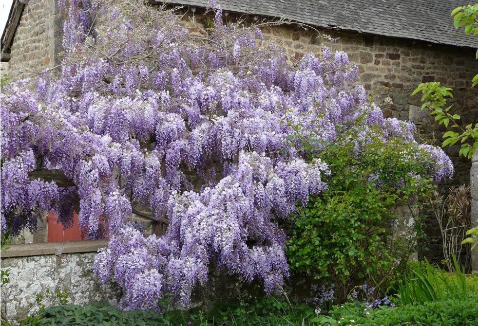 Dingé Le Clos Des Anges المظهر الخارجي الصورة